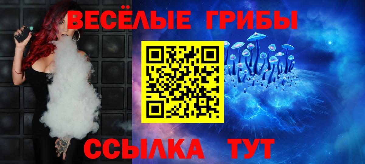 Орехово-Зуево  Псилоцибиновые грибы Psilocybe  Вход с VPN 